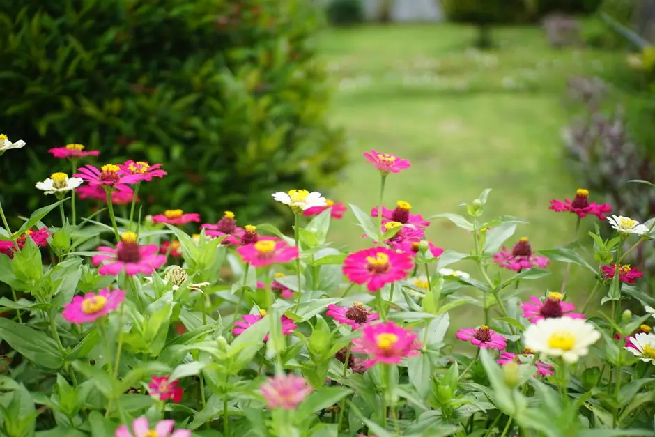 Greens & Outdoors at MAHAGUN MYWOODS III, Sector 16C, Noida Extension, Greater Noida