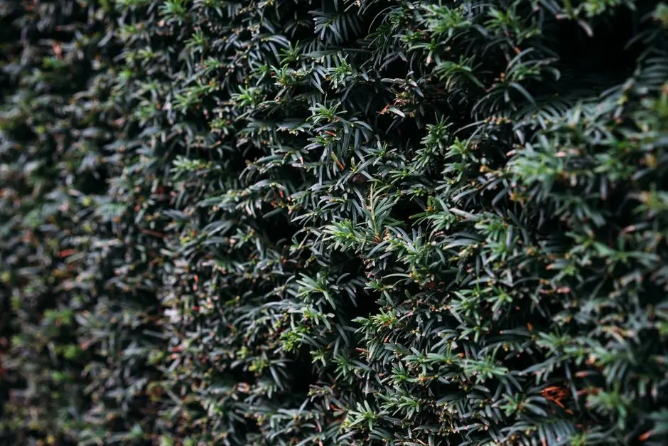 Greens & Outdoors at MAHAGUN MART, Sector 78, Noida