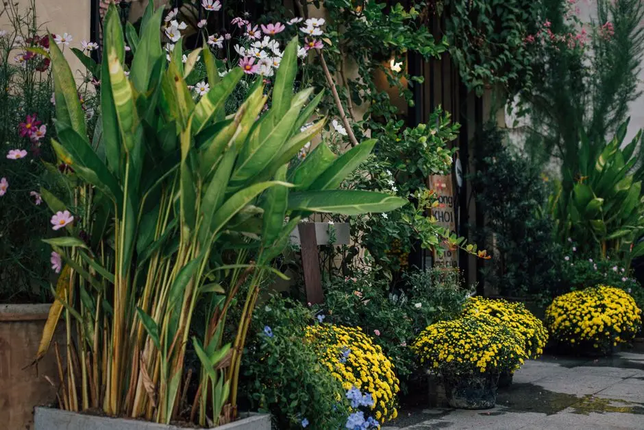 Greens & Outdoors at MAHAGUN MAVERICK, Sector 16C, Noida Extension, Greater Noida
