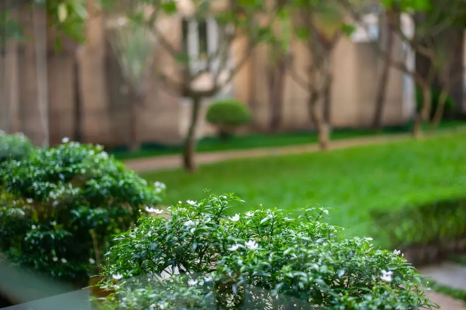 Greens & Outdoors at MAHAGUN MODERNE - AVLON AND BETINA, Sector 78, Noida